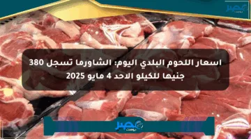 أسعار اللحوم البلدي اليوم: الشاورما تسجل 380 جنيها للكيلو الأحد 4 مايو 2025